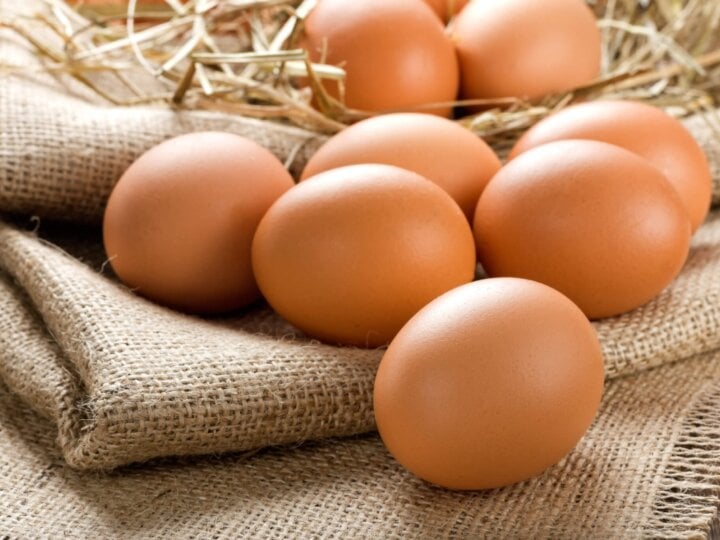 6 alimentos ricos em proteína para substituir o ovo