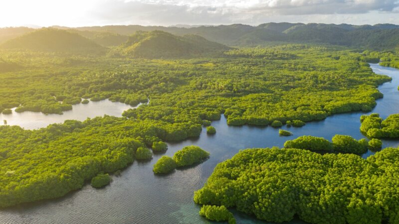 4 motivos para visitar a Amazônia