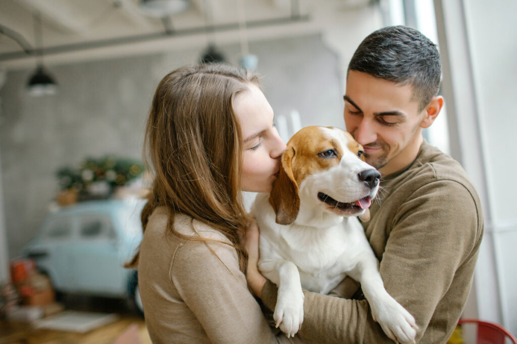 Homem e mulher beijando cachorro da raça beagle