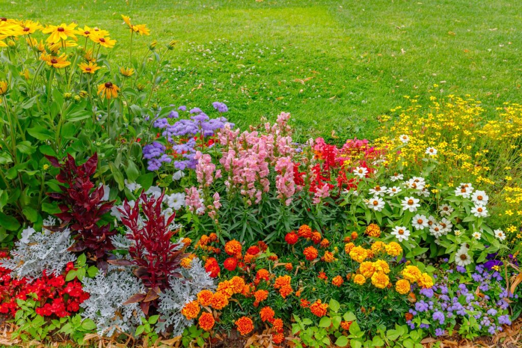 Jardim colorido com flores