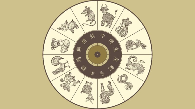 Veja as características dos 12 animais do Horóscopo Chinês