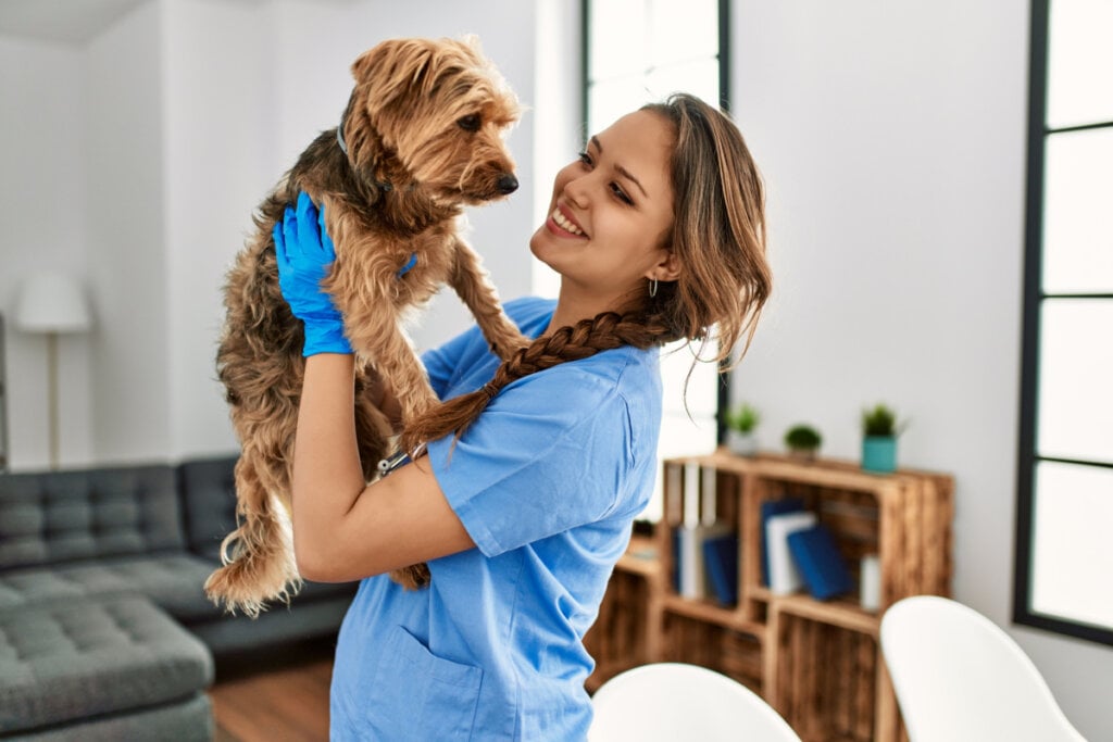 Veterinária com roupa e luvas azuis segurando cachorro no colo