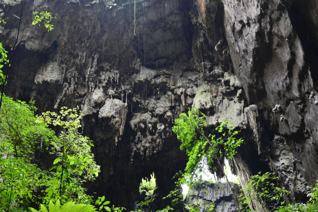 Vista de caverna no Vale do Ribeira, Iporanga