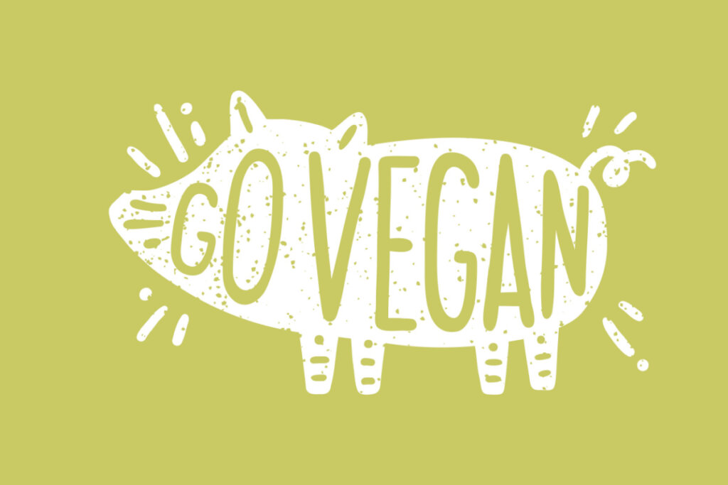 Ilustração de porco escrito "Go Vegan" em fundo verde