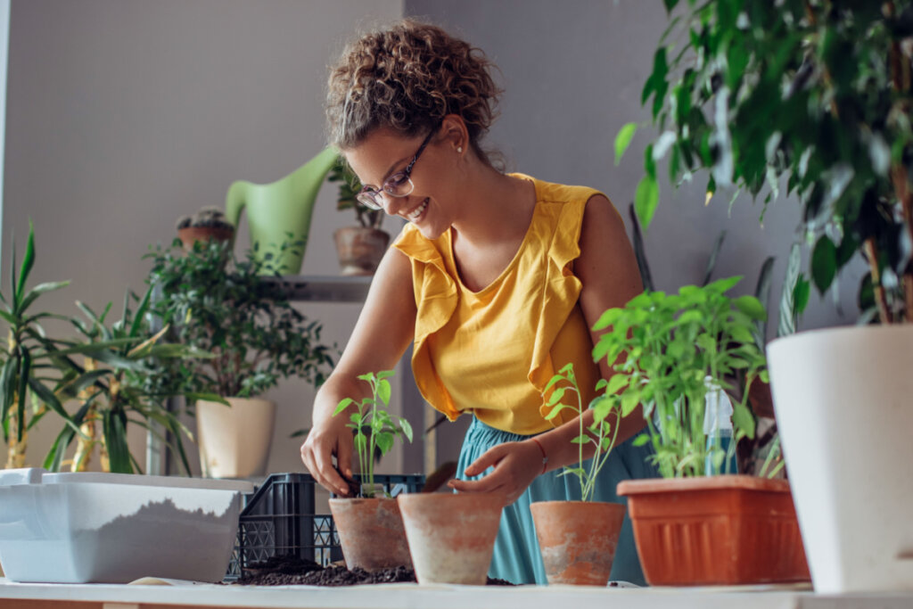 Mulher praticando jardinagem e cuidando de vários vasos de plantas