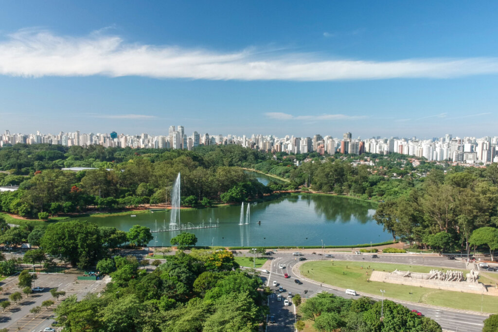 Vista do Parque Ibirapuera com bastante verde e prédios ao fundo