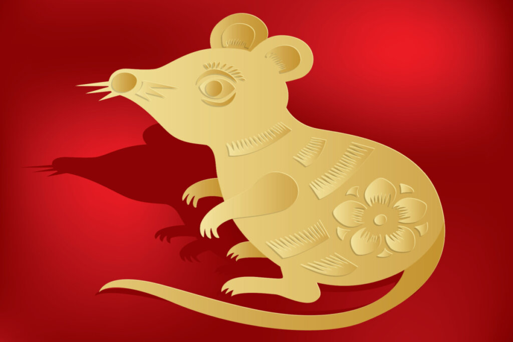 Ilustração de rato