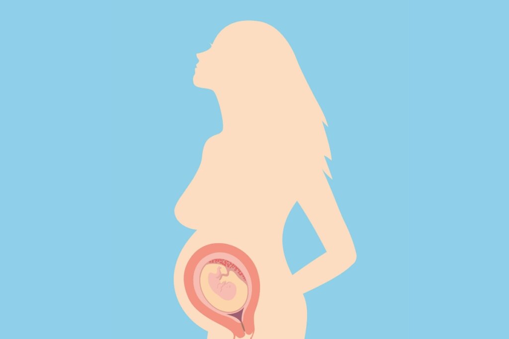 Ilustração de uma mulher grávida 