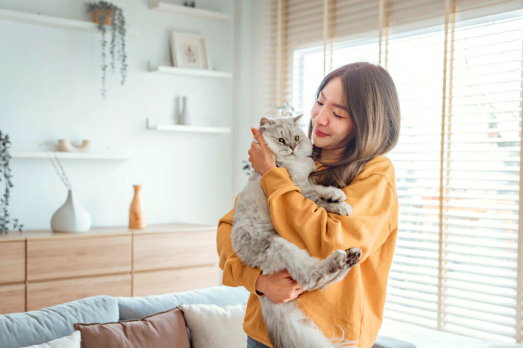 Mulher asiática segurando um gato no colo em um ambiente interno
