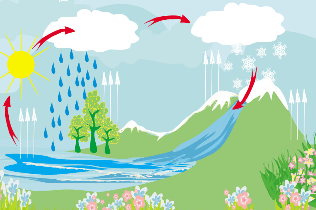 Ilustração indicando ciclos biogeoquímicos envolvendo sol, água, vegetação