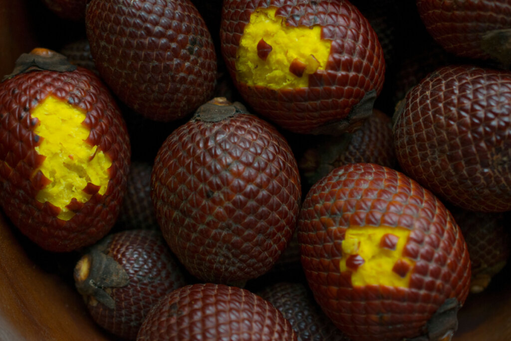 Fruta buriti com algumas partes sem a casca; a fruta é marrom e a parte interna é amarela