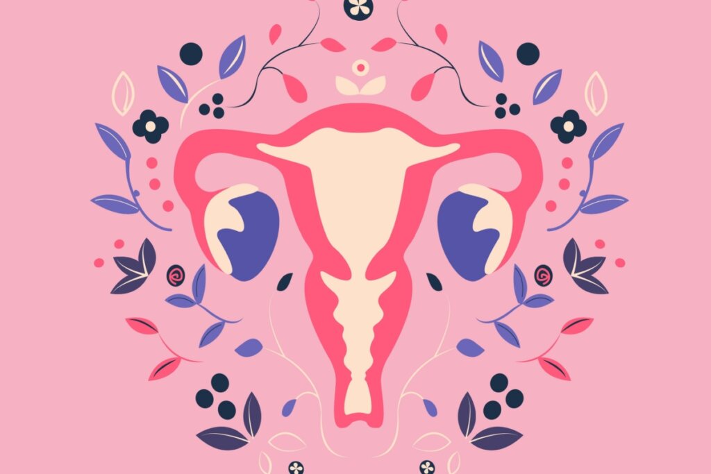 Ilustração de um útero com flores ao lado.