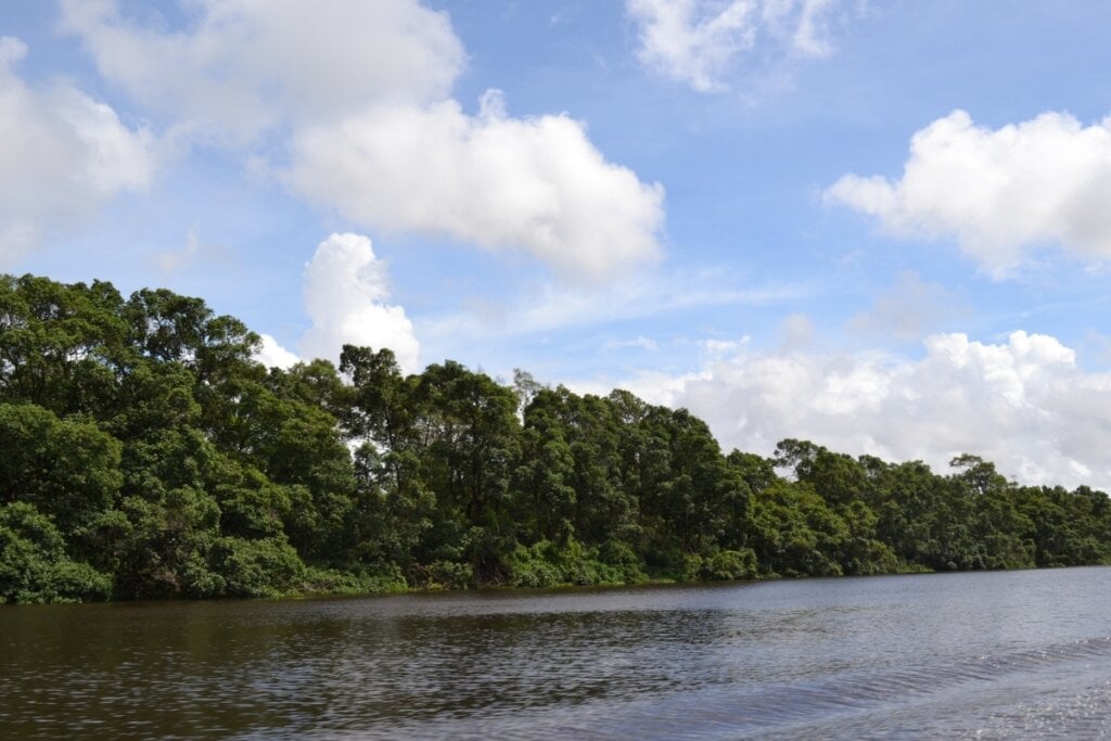 Rio Preguiças no Maranhão 