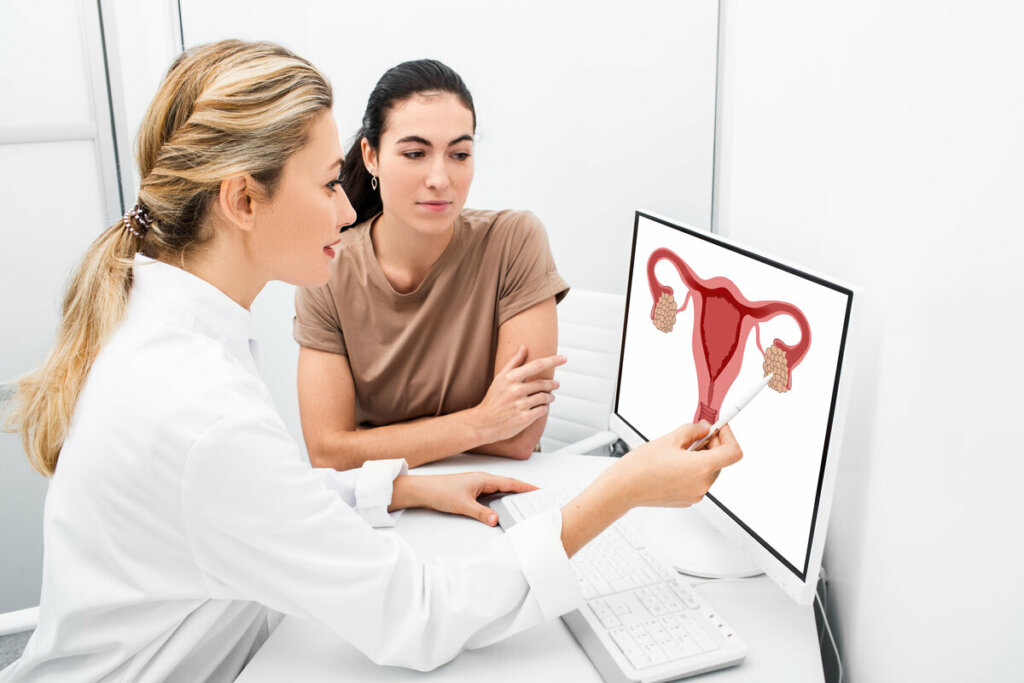 Médica mostrando a ilustração de um útero para uma mulher 
