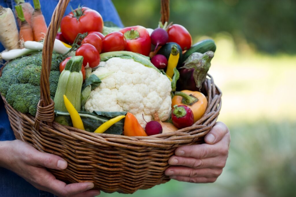 Pessoa segurando cesta com legumes, como couve-flor, cenoura, abobrinha e outros