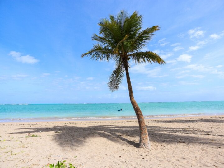 2 praias deslumbrantes em Alagoas para conhecer