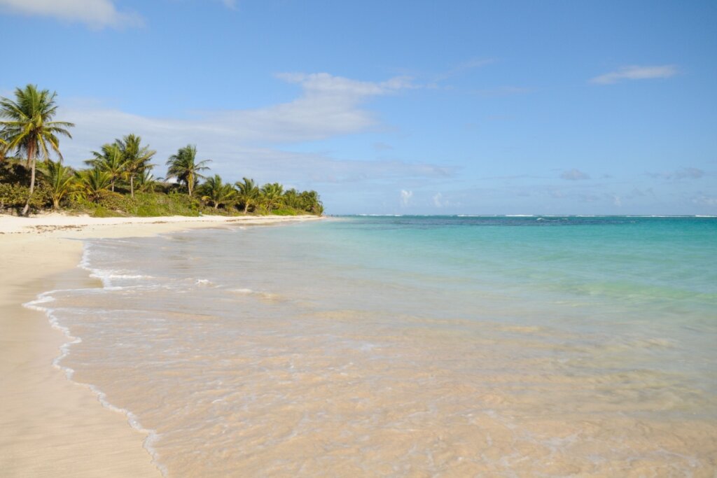 Praia de Lages com mar azul e coqueiros 