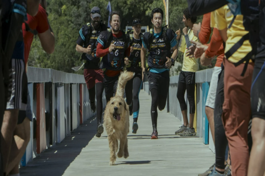 grupo de pessoas com roupas de corrida, correndo em uma ponte com um cachorro a frente. 