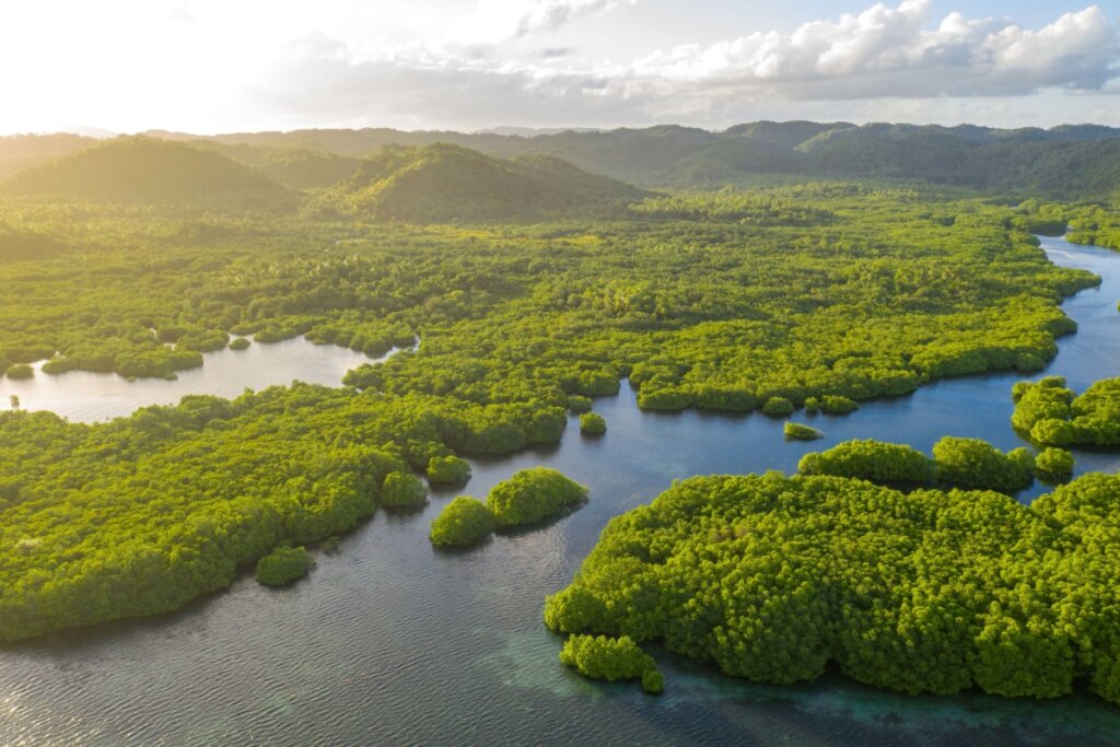 Arquipélago de Anavilhanas, floresta inundada amazônica no Rio Negro, Amazonas, Brasil. Vista aérea do drone