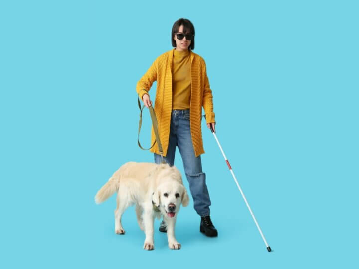 Entenda a importância do cão-guia para pessoas com deficiência visual
