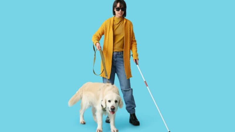 Entenda a importância do cão-guia para pessoas com deficiência visual