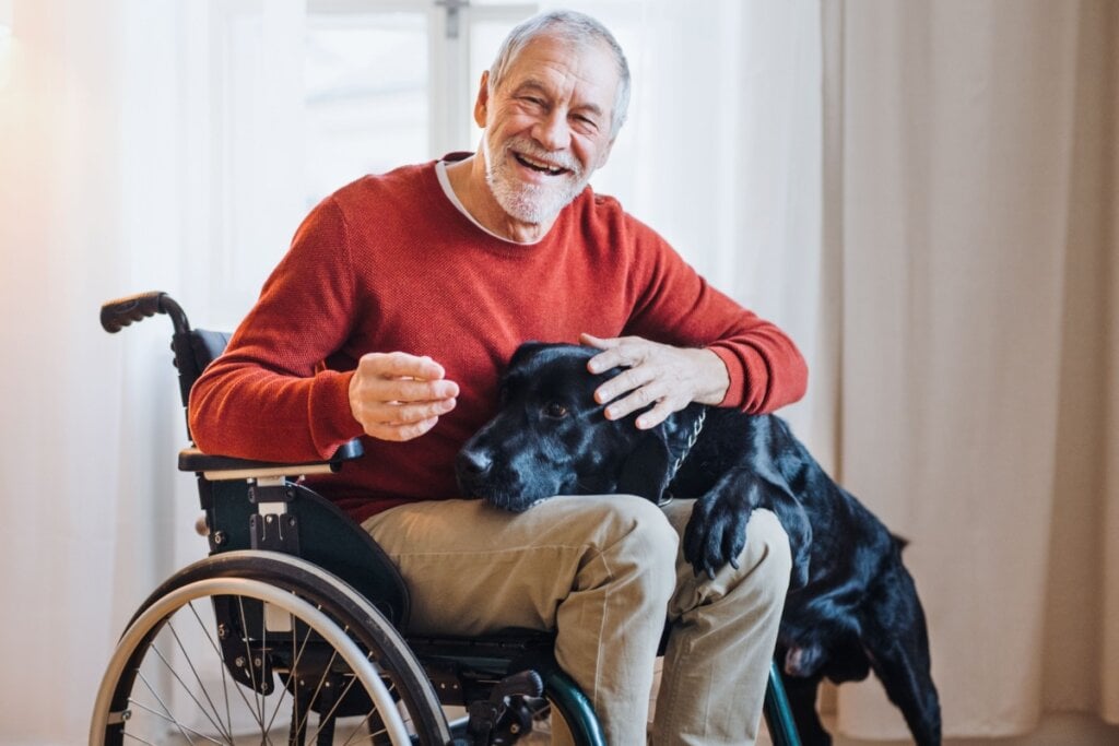 Homem idoso na cadeira de rosas e cachorro