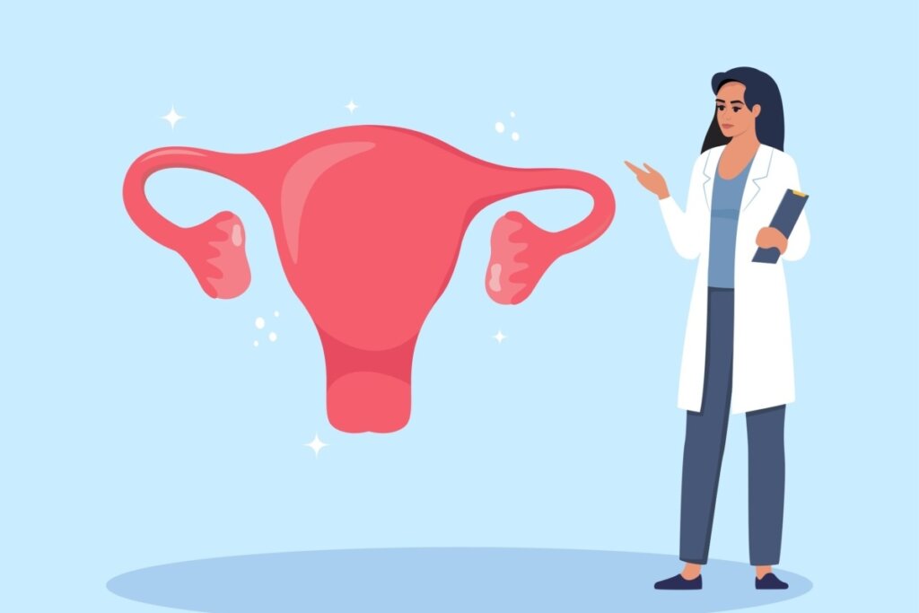 Ilustração utero e médica