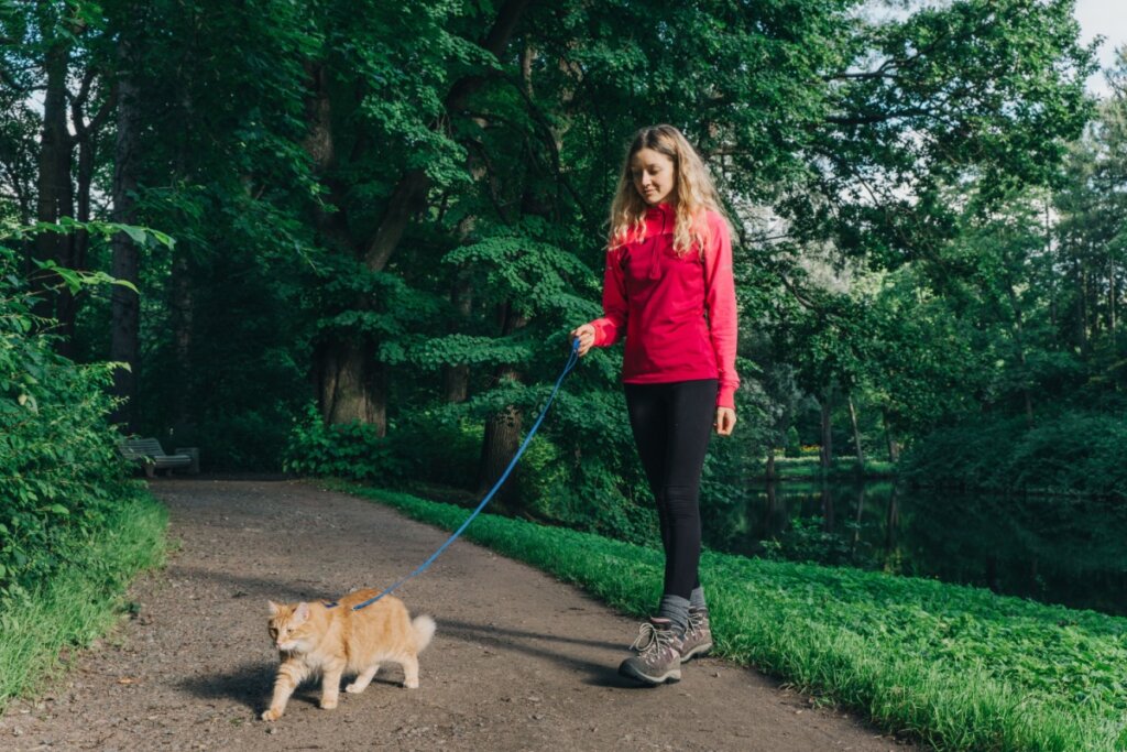 Mulher passeando com gato laranja na coleira