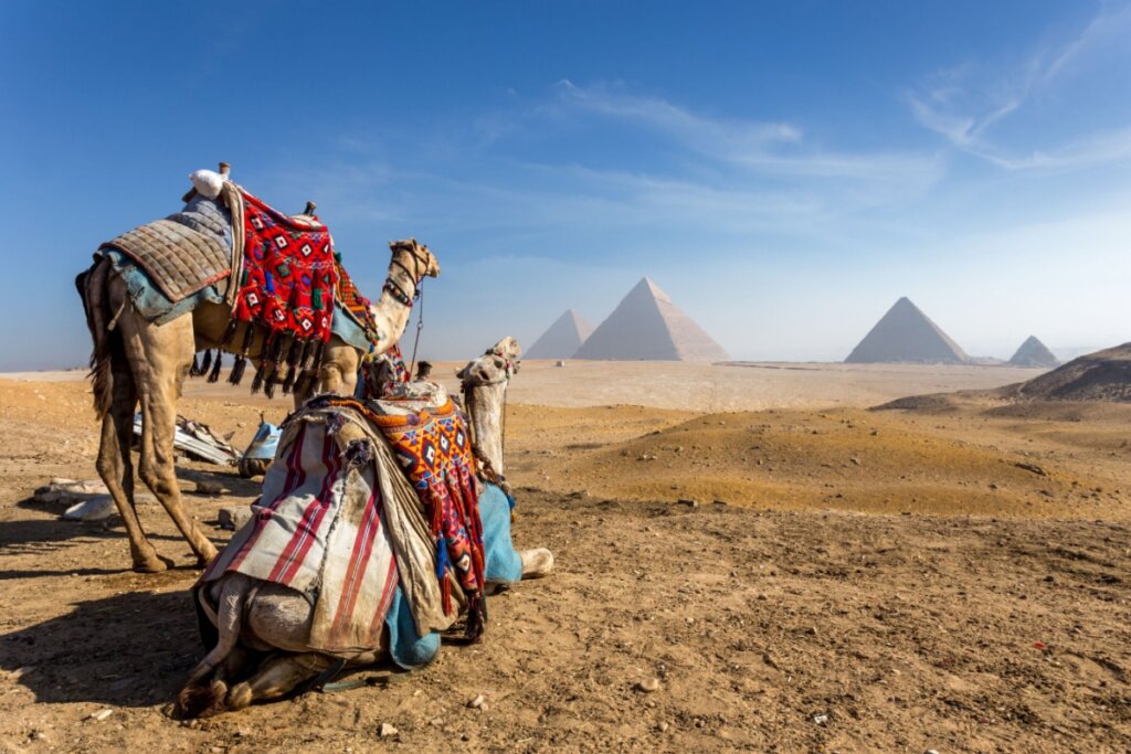Dois camelos e as três pirâmides ao fundo