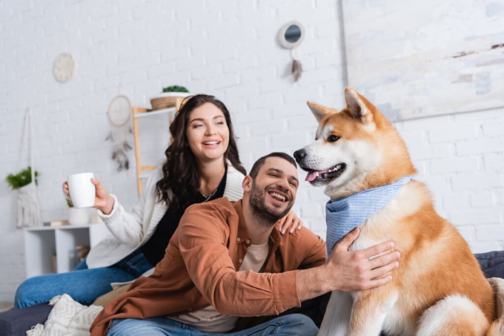 Casal sorrindo e sentado em sofá com cachorro da raça akita