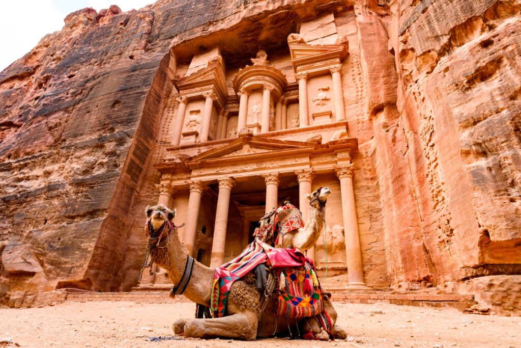 Vista espetacular de dois belos camelos em frente ao Al Khazneh (O Tesouro), em Petra