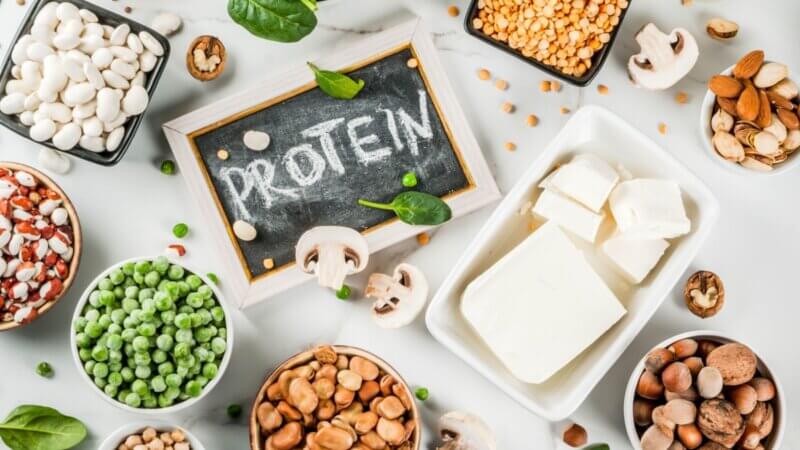 Entenda o papel da proteína no organismo e como consumi-la