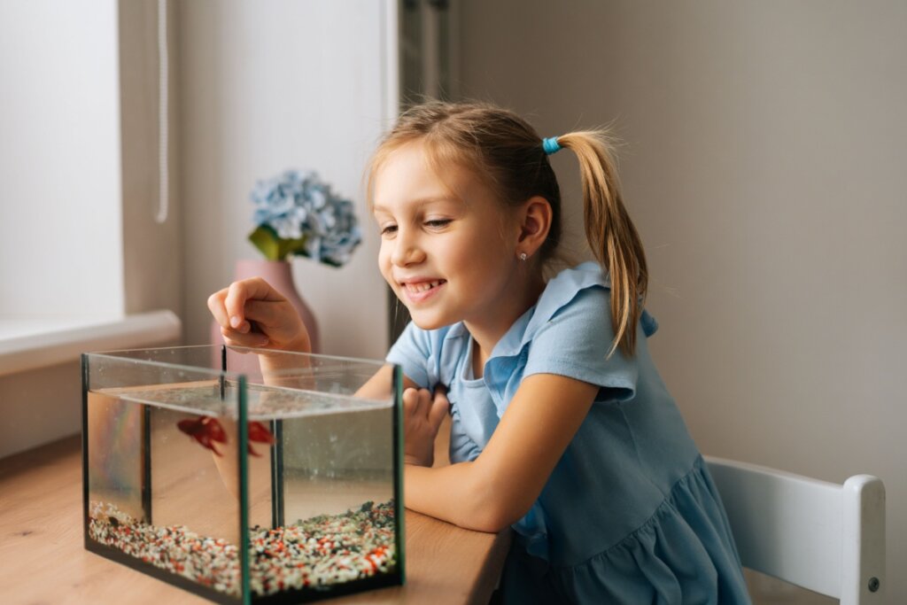 Menina olhando aquário com peixe