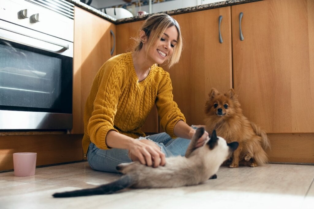 Mulher sentada em uma cozinha brincando com gato e cachorro