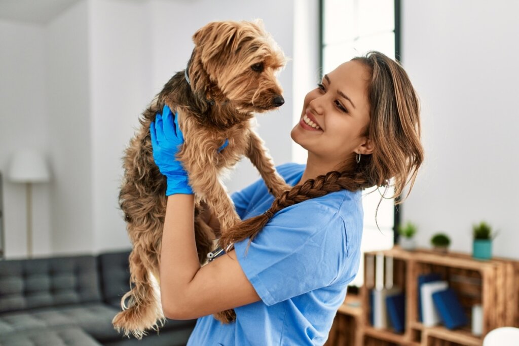 Veterinária segurando um cachorro