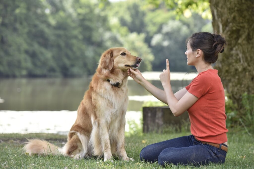 Mulher sentada em chão de parque com cachorro golden retriever. Ela segura a cabeça dele com uma mão e com a outra aponta o dedo para cima