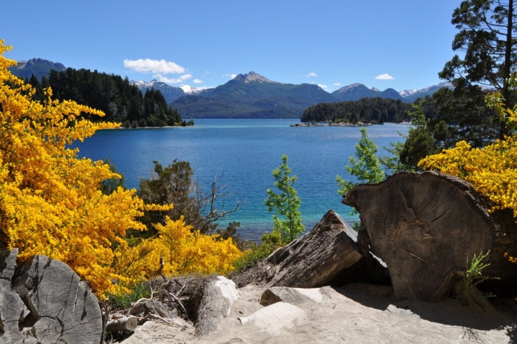 Paisagem em Bariloche, com vegetação florida, lago e montanhas atrás