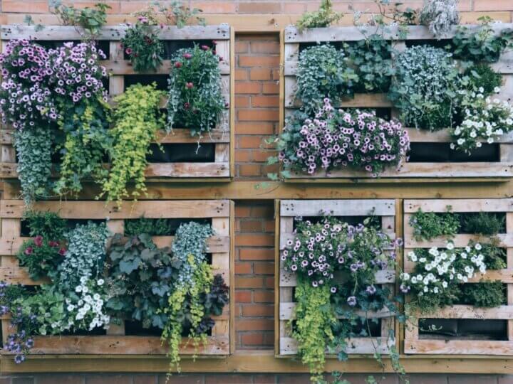 4 dicas para montar um jardim vertical em casa