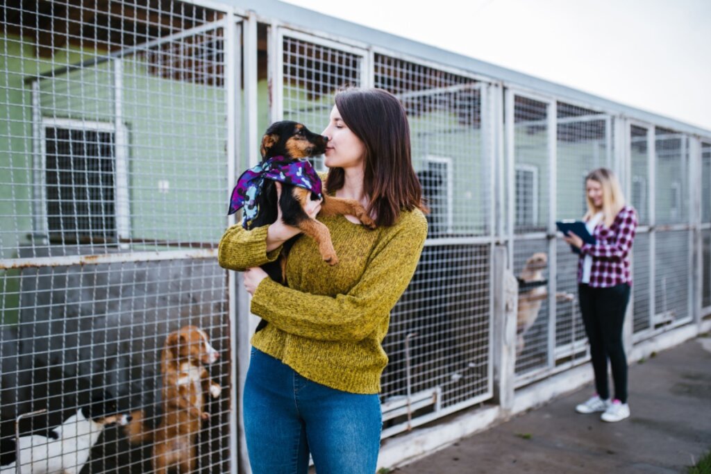 Mulher segurando filhote de cachorro no colo em abrigo de animais