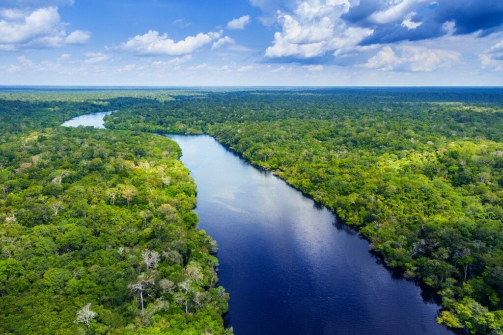 Vista aérea da floresta amazônica