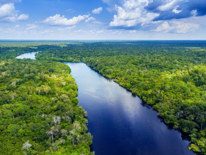 7 indícios de que a Amazônia pode ajudar a amenizar os problemas climáticos