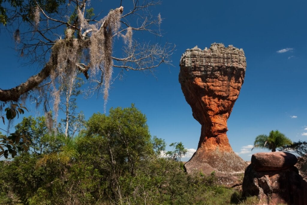 Formação rochosa "Taça" no Parque Estadual de Vila Velha, Paraná, destacando-se contra um céu azul