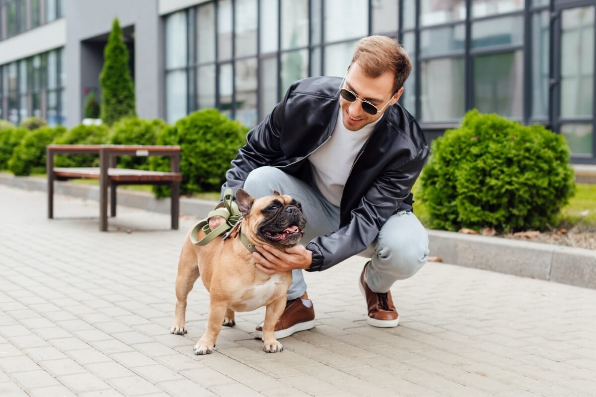 8 cuidados ao passear com o cachorro na rua