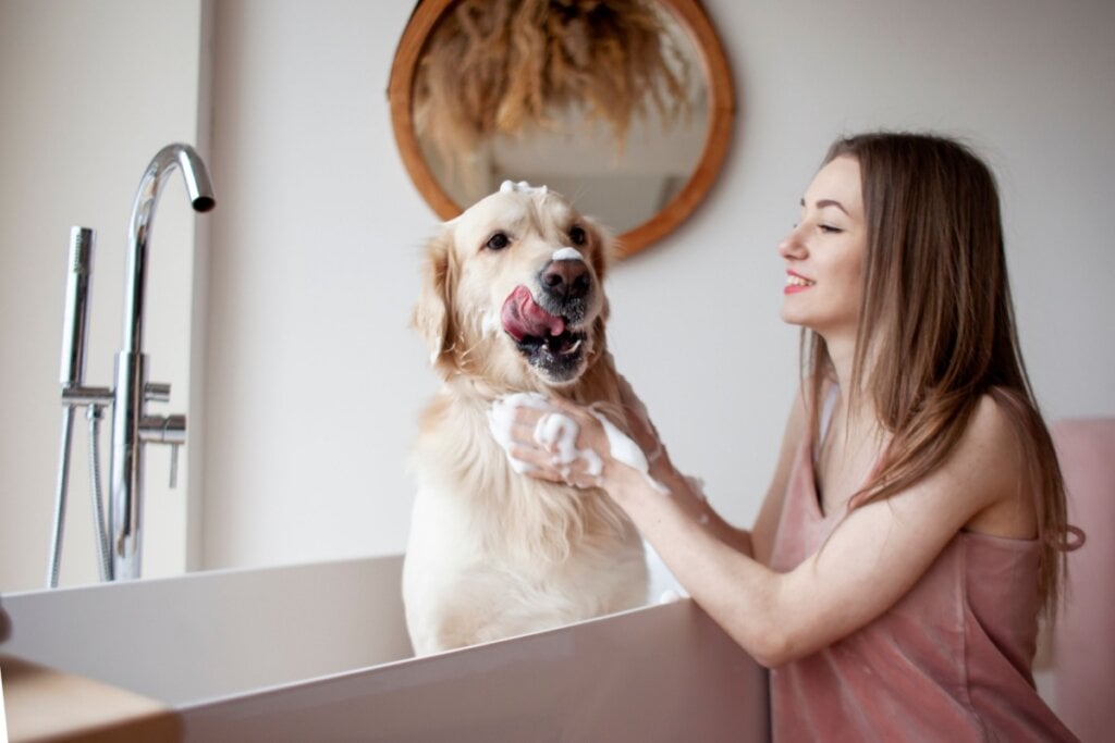 mulher sorrindo enquanto dá banho em cachorro