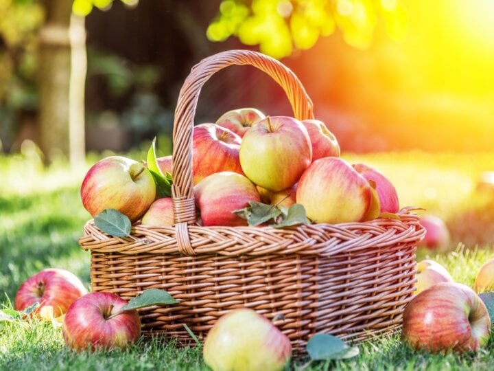7 benefícios da maçã para a saúde