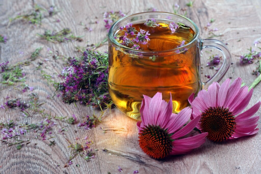 chá de echinacea em uma mesa com as flores ao lado