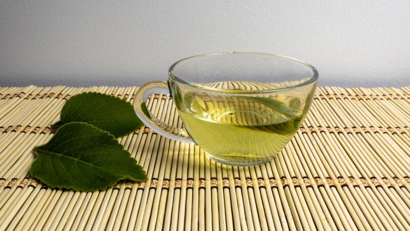 5 benefícios do chá de boldo para a saúde