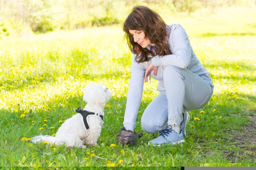 Mulher com um saco plástico preto na mão catando as fezes de um cachorro na grama