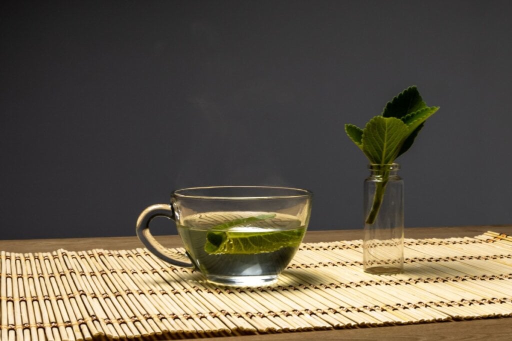 Xícara de vidro com chá de boldo ao lado um vaso de vidro com um galho de boldo