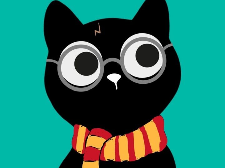 8 nomes de personagens do Harry Potter para o seu gato